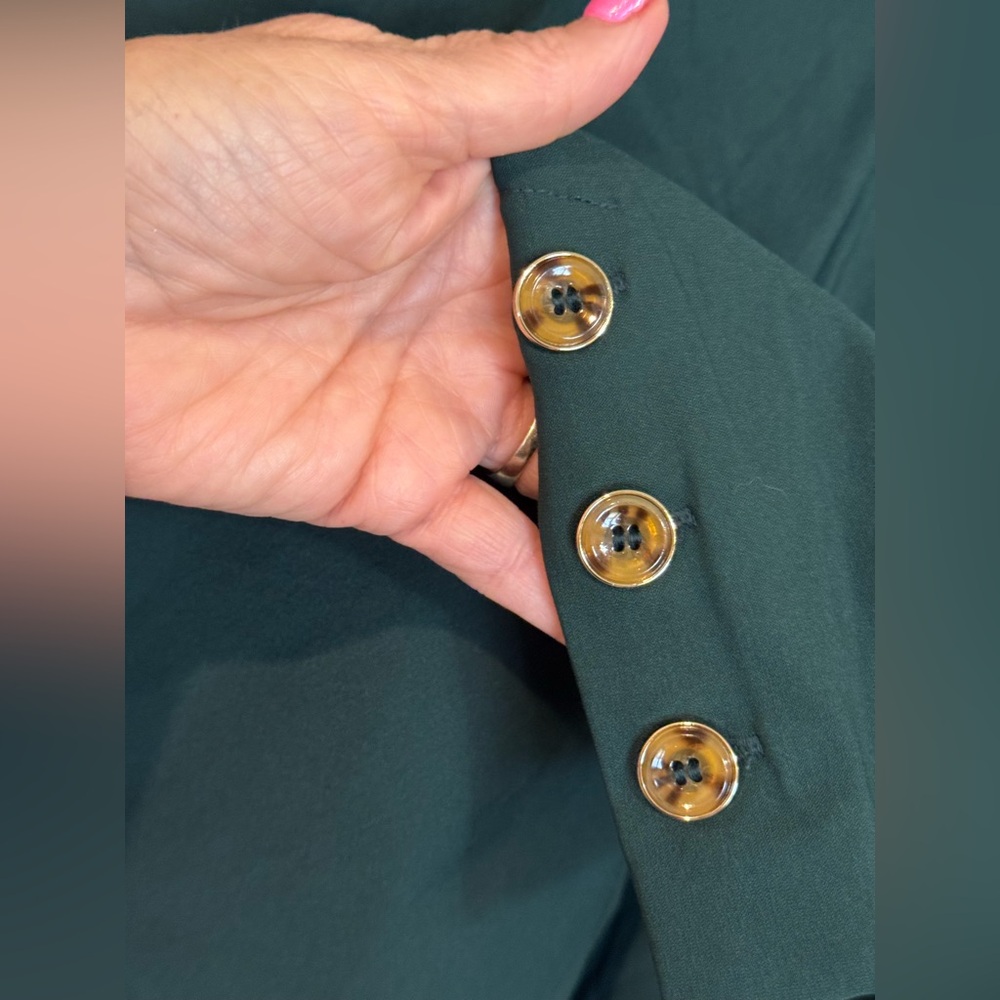Roz & Ali Dark Green Pants with Brown Button Accents At Ankles Sz 20 - Picture 3 of 6